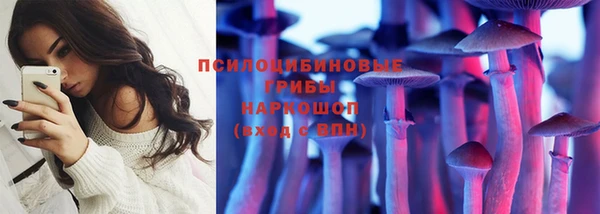 дурь Алексеевка