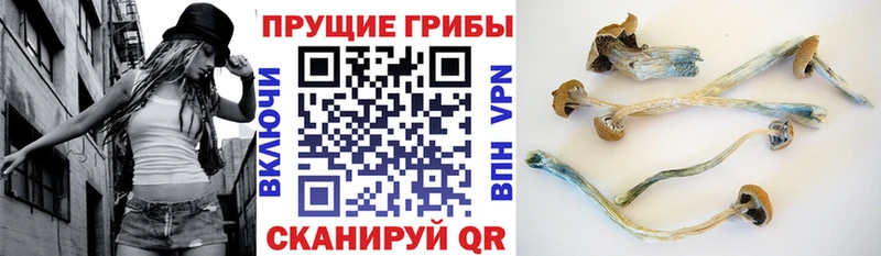 Галлюциногенные грибы Magic Shrooms  Томск 